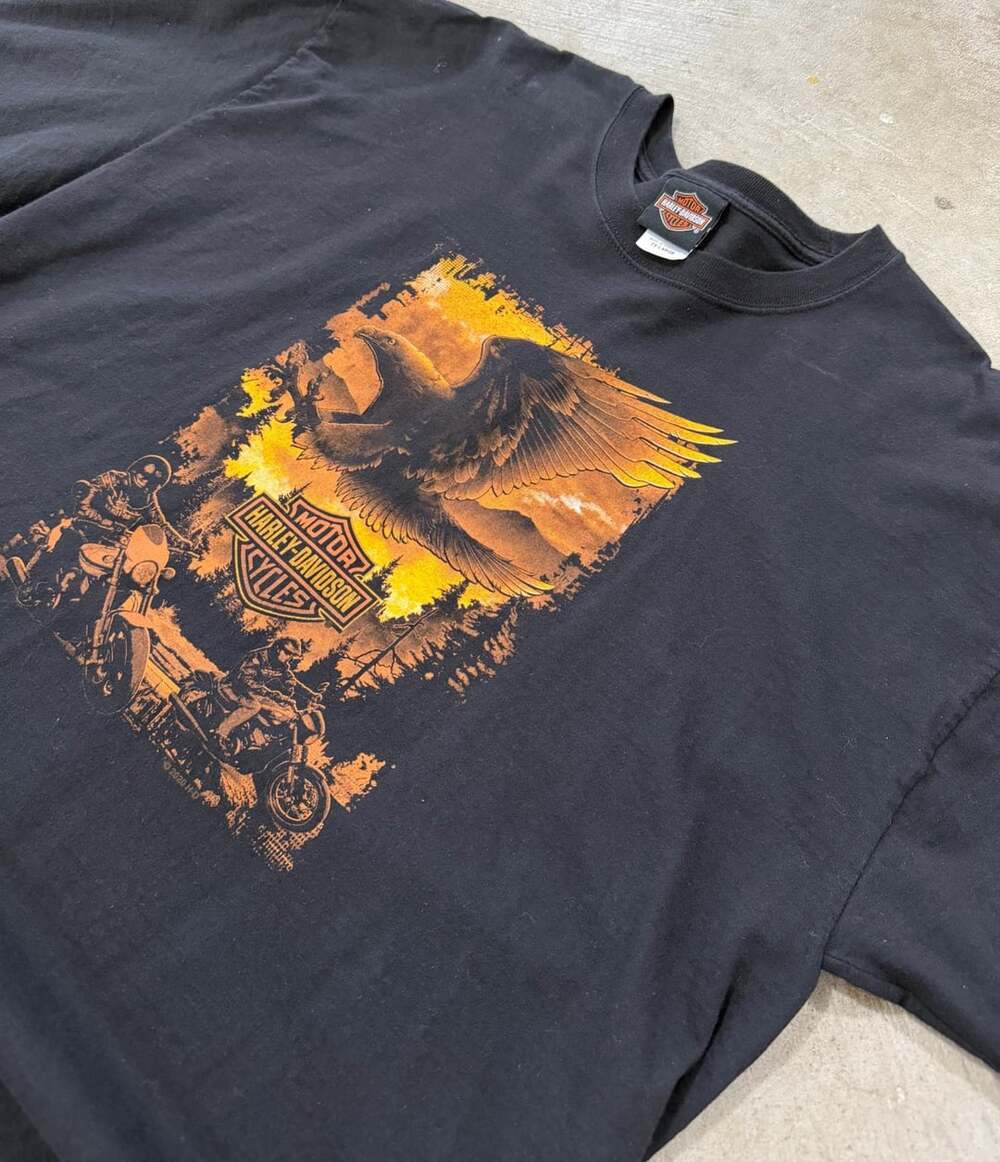 Vintage Harley-Davidson Graphic T-Shirt Size 2X-Large Black Eagle Frederick